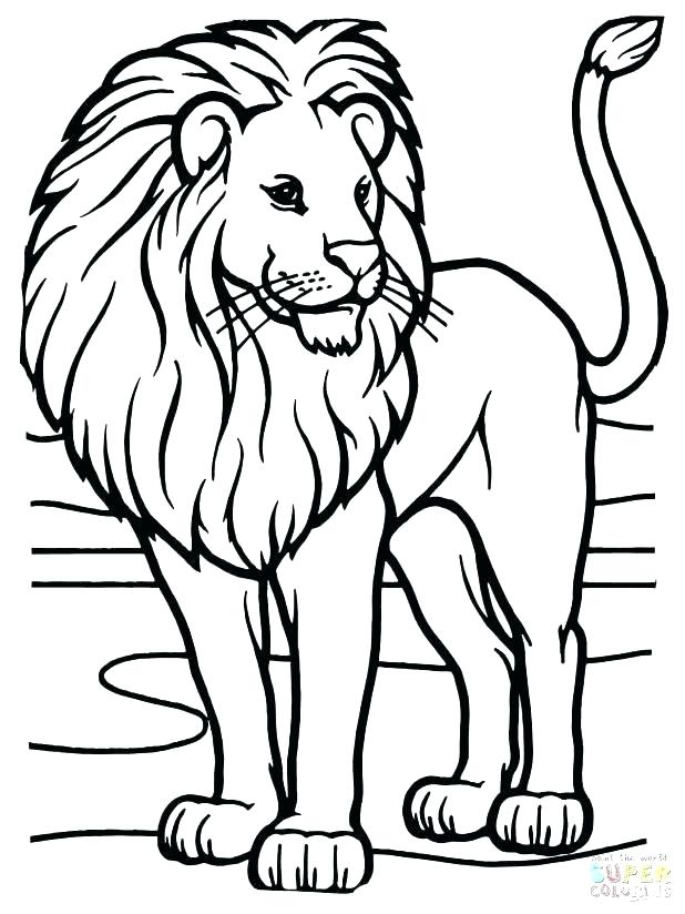 618x824 Lion Coloring Page