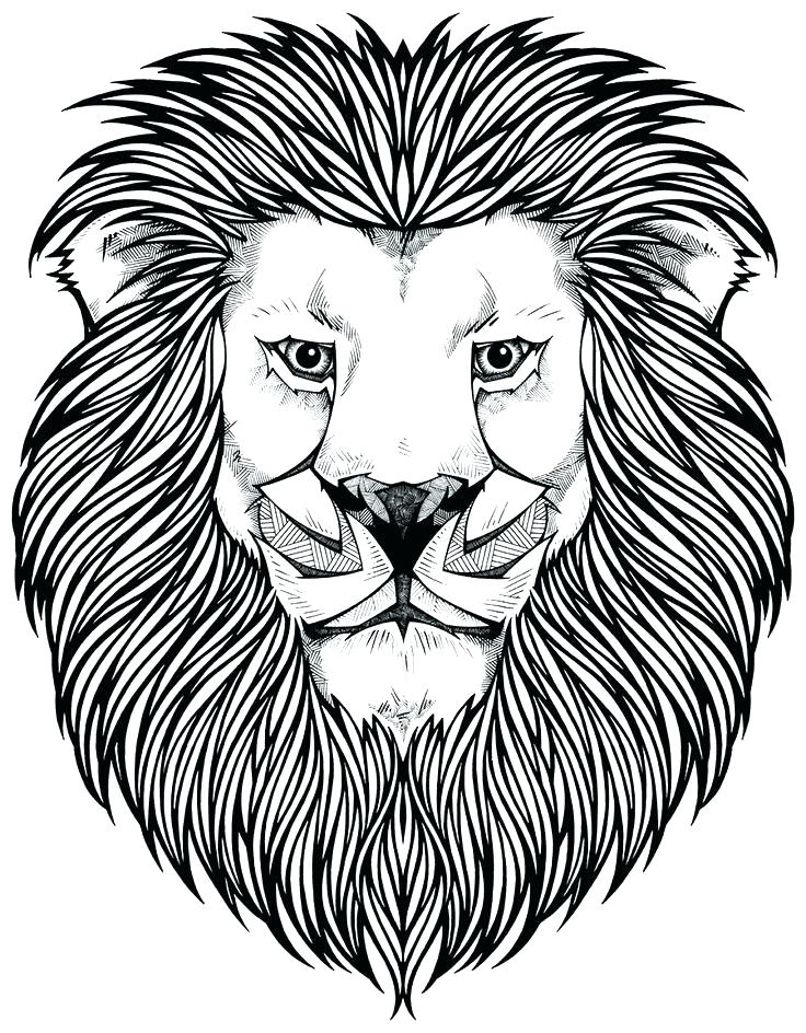 736x944 Coloring Pages Of A Lion Mountain Lion Coloring Pages Coloring