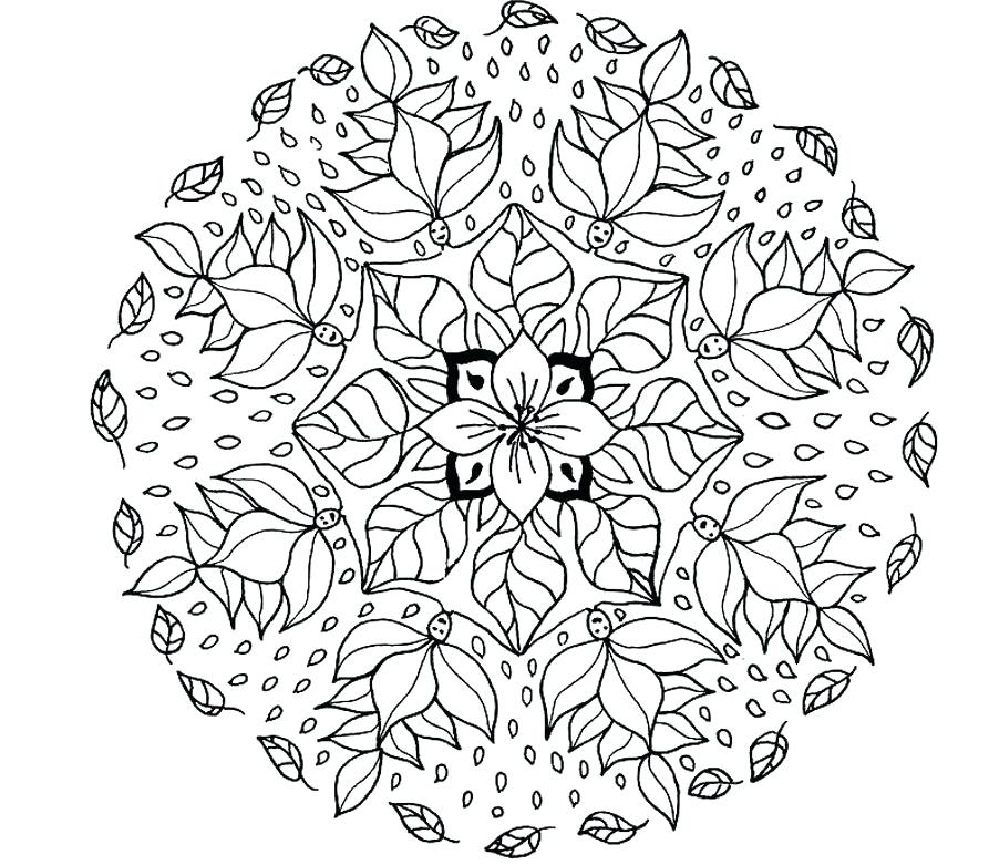 893x781 Free Printable Owl Mandala Coloring Pages Charming Free Printable