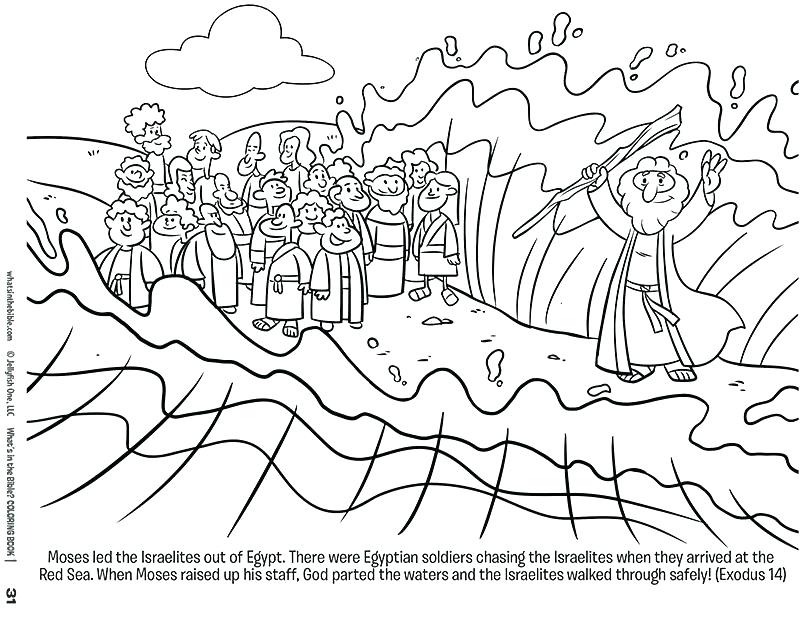 800x618 Moses Coloring Pages Free Printable Moses Coloring Pages