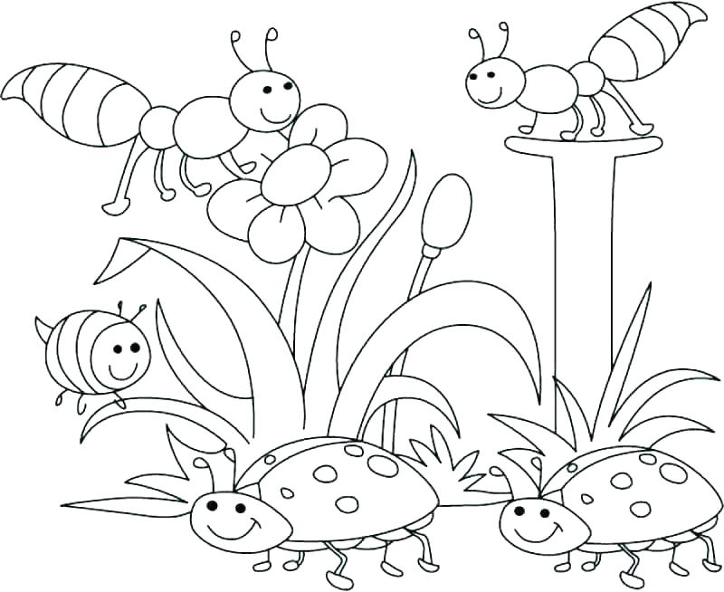 800x654 Free Printable Nature Colouring Pages Coloring Book And Packed