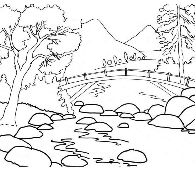 678x600 Printable Nature Pictures Coloring Page Ideas