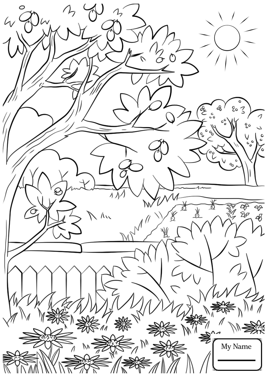 866x1224 Free Nature Coloring Pages Ebcs General Printable Sheets
