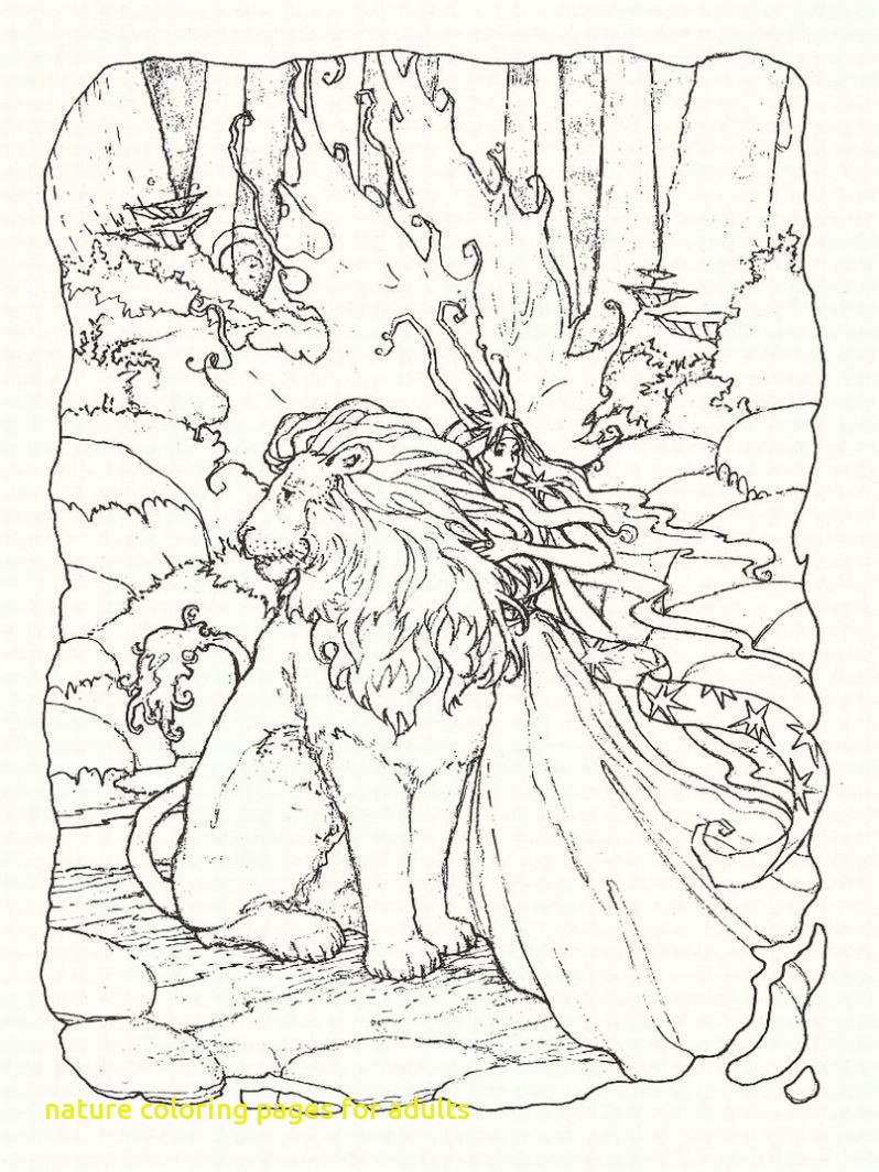 798x1064 Free Printable Nature Coloring Pages For Adults
