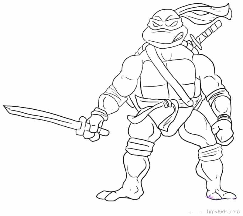 800x711 Turtle Coloring Pages Printable Free Printable Ninja Turtle