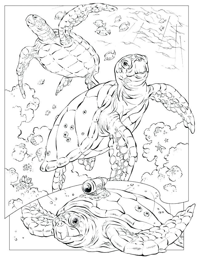 650x841 Ocean Scene Coloring Pages Ocean Scene Coloring Pages Ocean