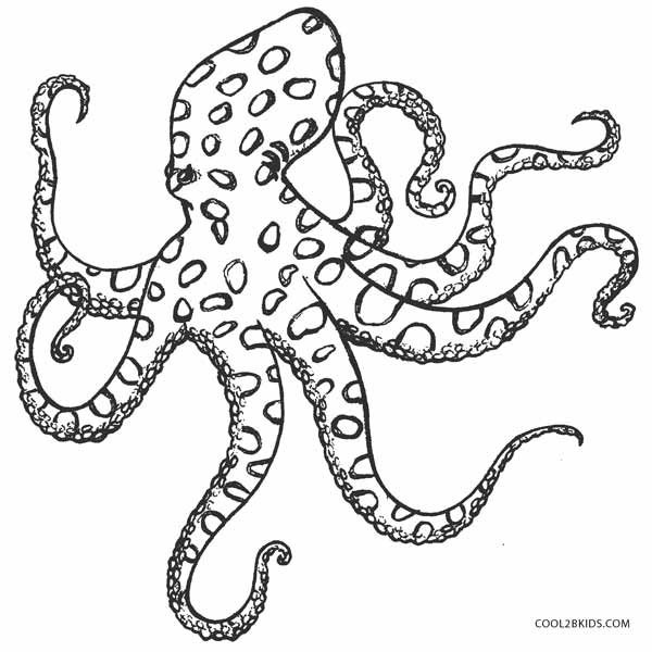 600x600 Images Of Octopus Coloring Template