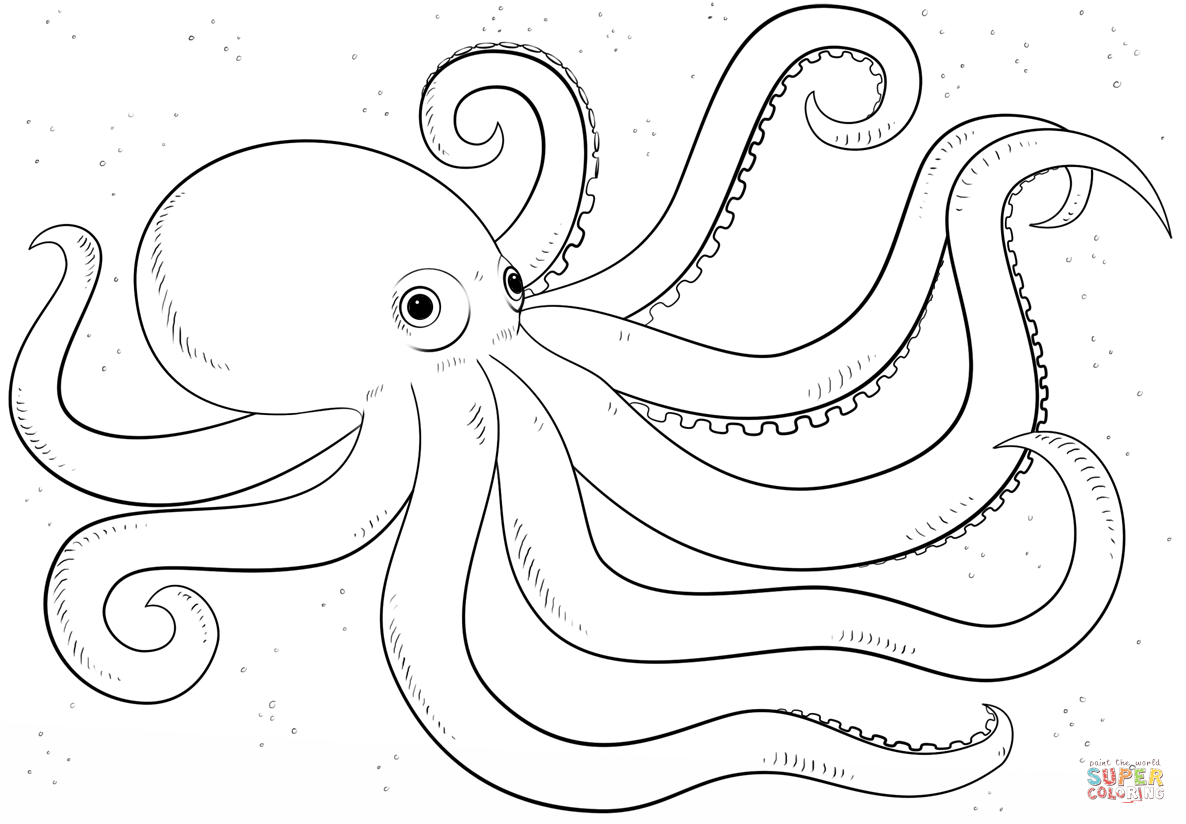 1186x824 Popular Octopus Pictures To Colour Cartoon Coloring Page Free