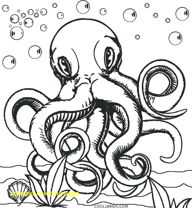 Free Printable Octopus Coloring Pages at GetDrawings | Free download