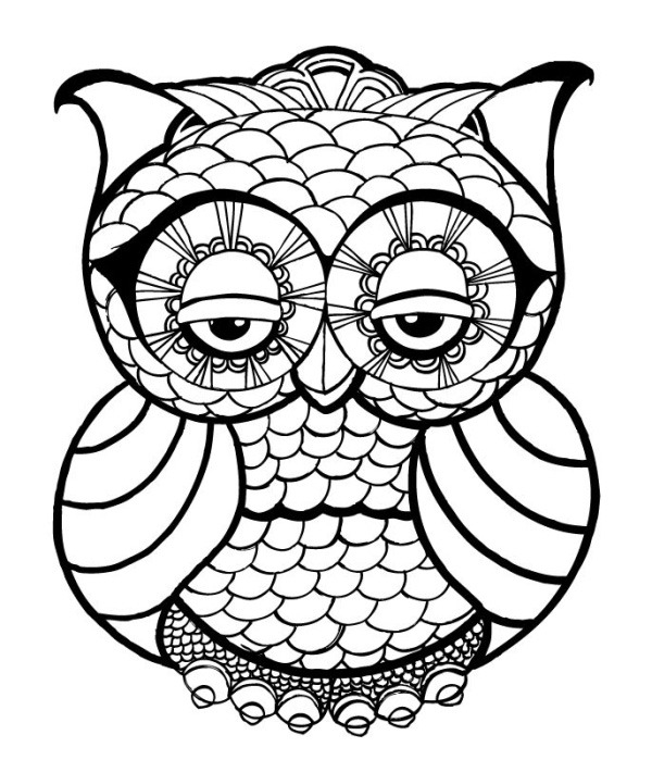 600x699 Owl Coloring Pages For Adults Free Detailed Owl Coloring Pages