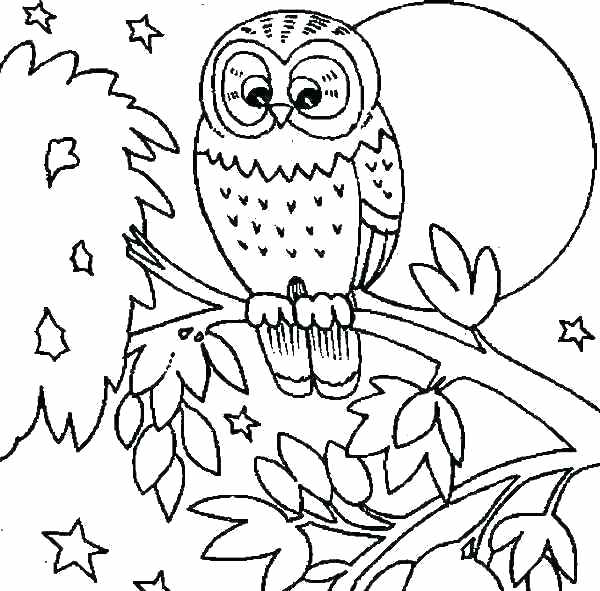 600x591 Printable Owl Coloring Pages Printable Owl Coloring Pages Owl