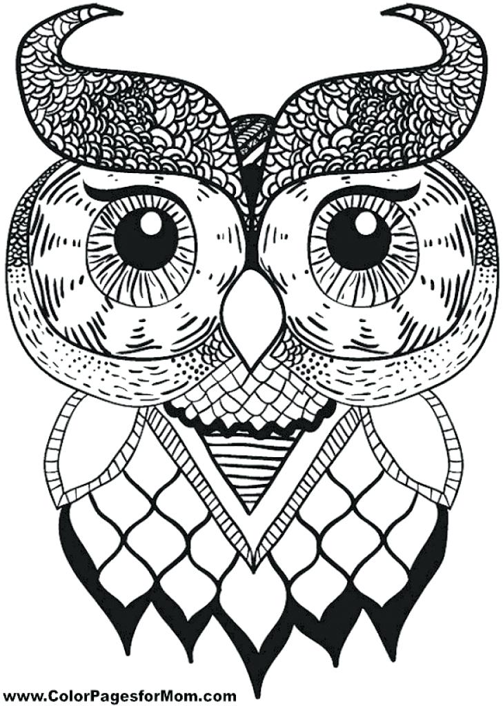729x1024 Redoubtable Owl Coloring Pages For Adults Page Birds