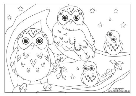 460x325 Owl Coloring Pages Inspirational Owl Coloring Page For Print