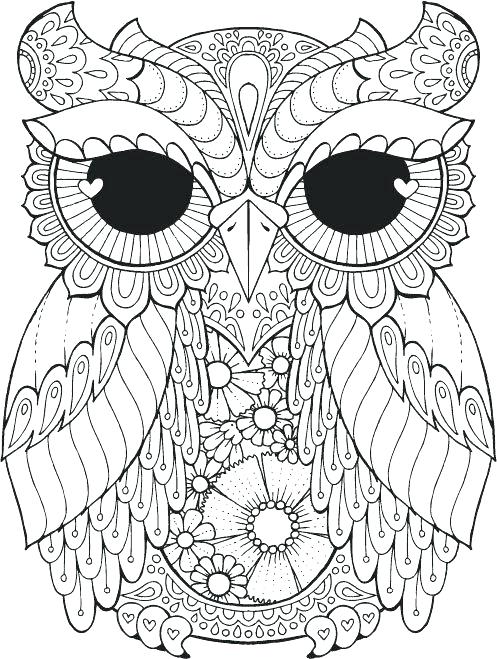 497x659 Owls Coloring Pages For Adults