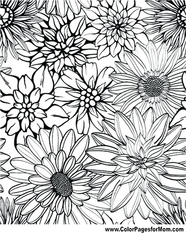 640x799 Coloring Book Pages Flowers Flower Page Printable Coloring Sheets