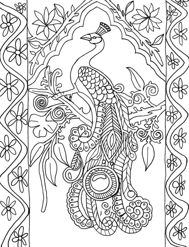 736x961 Peacock Coloring Pages Sheets Preschool In Fancy Peacock Coloring