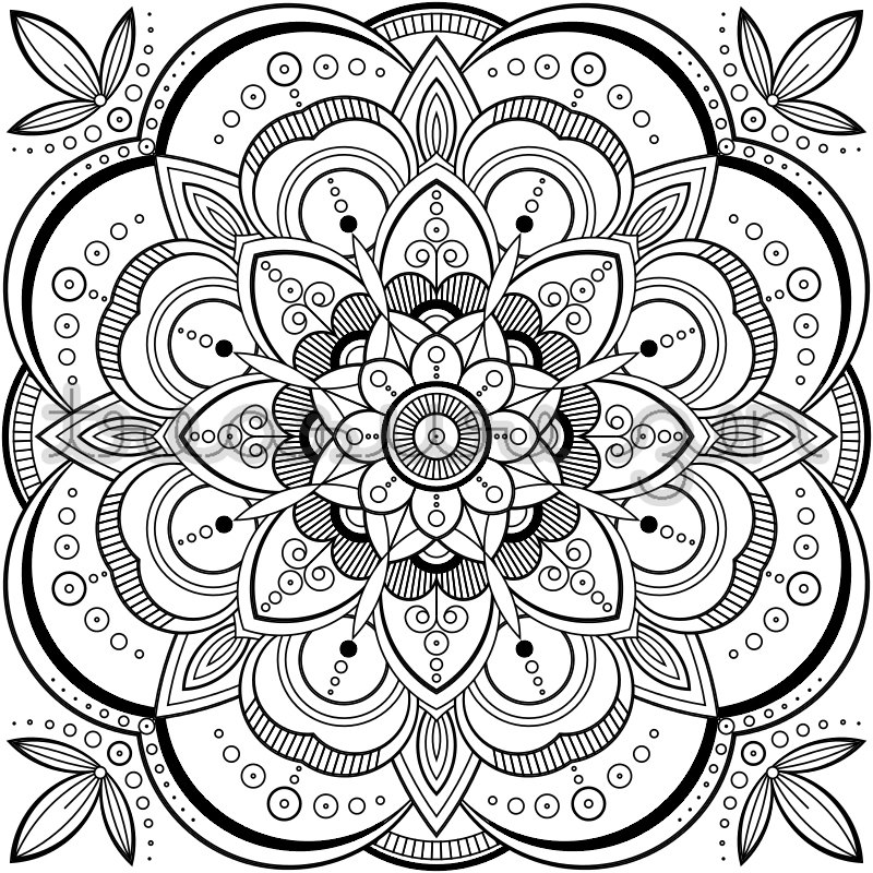 800x800 Printable Paris Coloring Page Stunning Adult Coloring Book Pdf