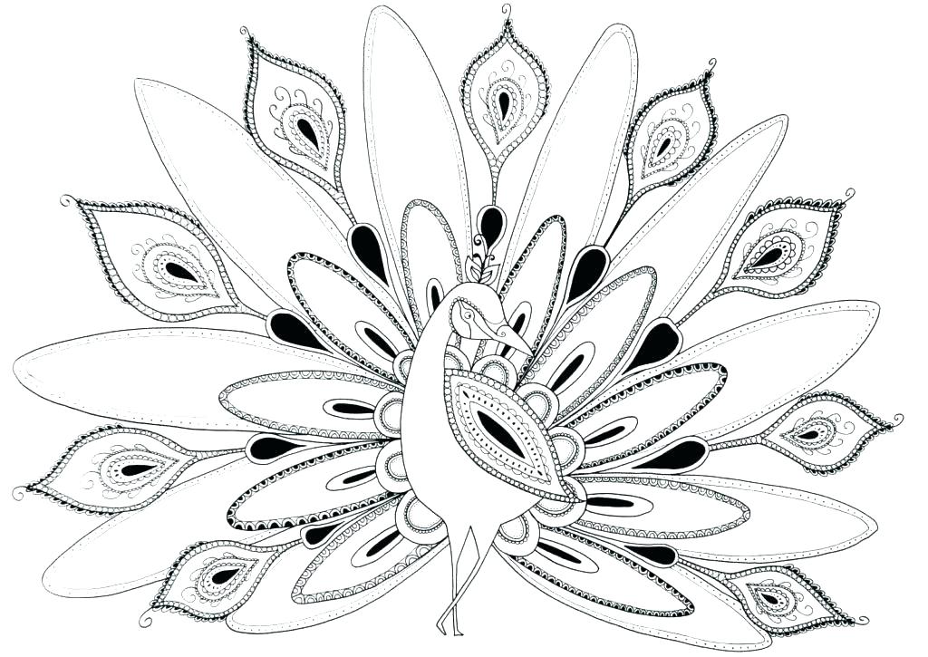 1024x725 New Hard Coloring Pages For Kids Or Coloring Pages Of Peacocks