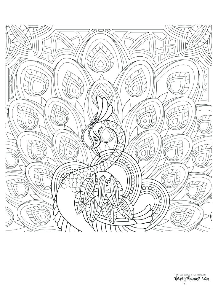 736x971 Coloring Pages Peacock Peacock Coloring Pages For Adults Download