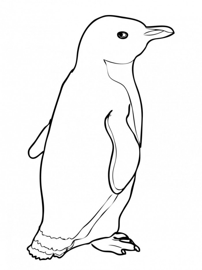 700x933 Penguins Coloring Pages Lovely Free Printable Penguin Coloring
