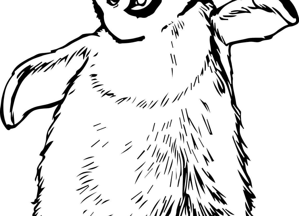 1244x900 Remarkable Emperor Penguin Coloring Page For Kids King Free
