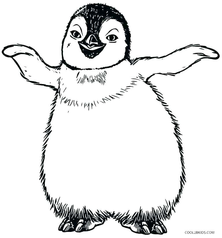 768x821 Coloring Page Penguin Coloring Pages Of Penguins Luxury Penguins