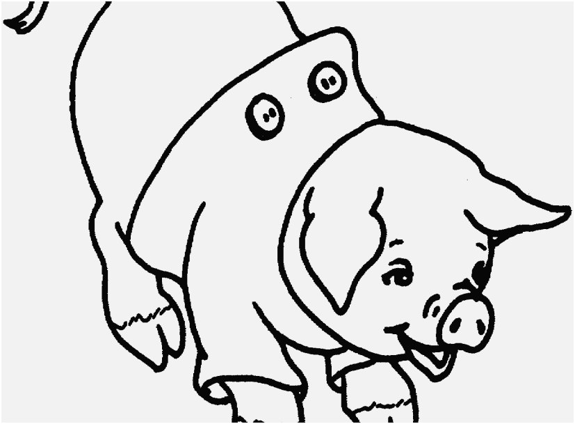 827x609 Minecraft Coloring Pages Animals Portraits Pig Coloring Page Free