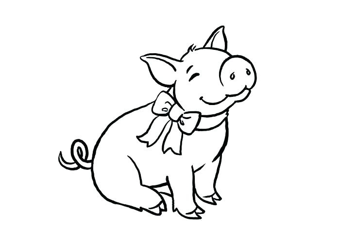 700x500 Pig Color Page Free Printable Pig Pig To Color Coloring Page Free