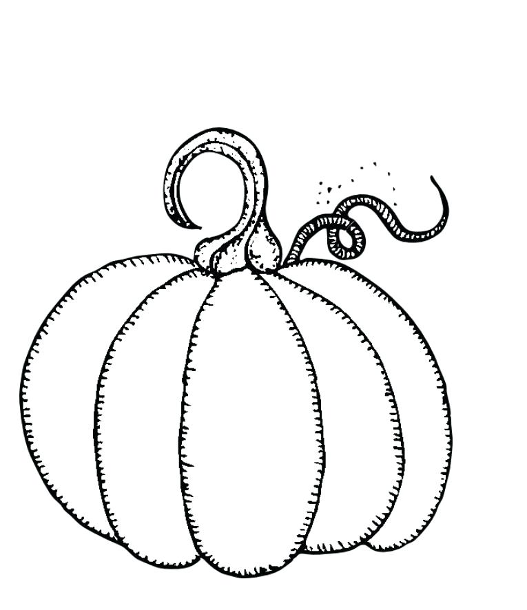 765x886 Free Pumpkin Coloring Pages Free Printable Pumpkins Coloring Pages