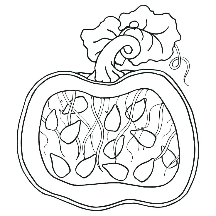 736x736 Pumpkin Patch Coloring Page Pumpkin Patch Coloring Page Elegant