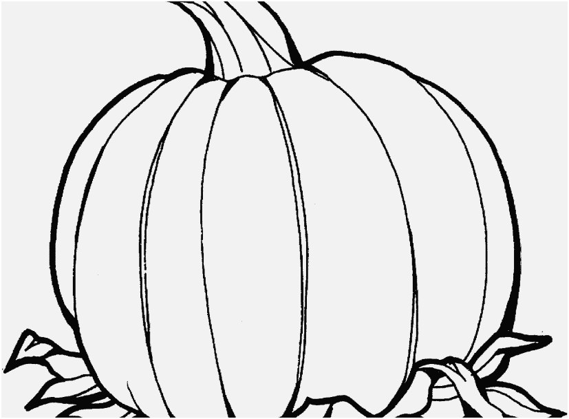 827x609 The Right Portraits Pumpkin Coloring Sheets Delightful