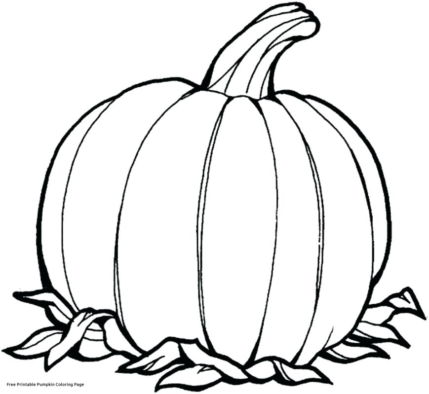869x799 Pumpkin Coloring Pages For Sunday School
