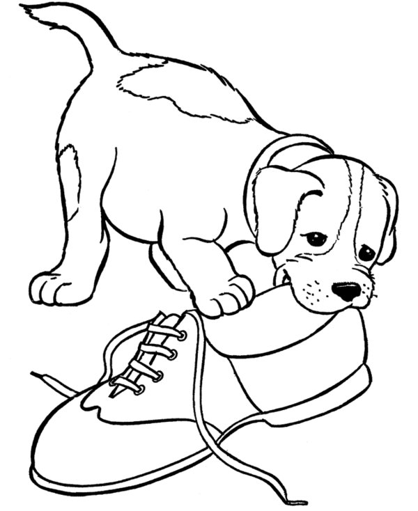 600x734 Puppy Coloring Pages For Kids
