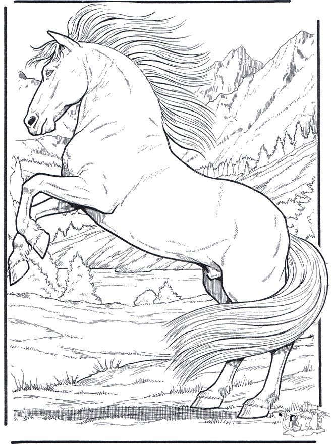 660x880 Free Printable Realistic Animal Coloring Pages