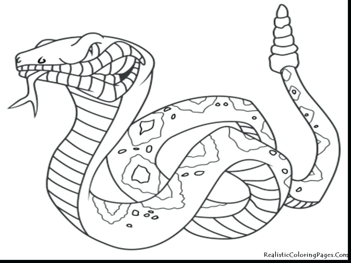 1126x844 Coloring Pages Printable Animal Coloring Pages Popular Pictures
