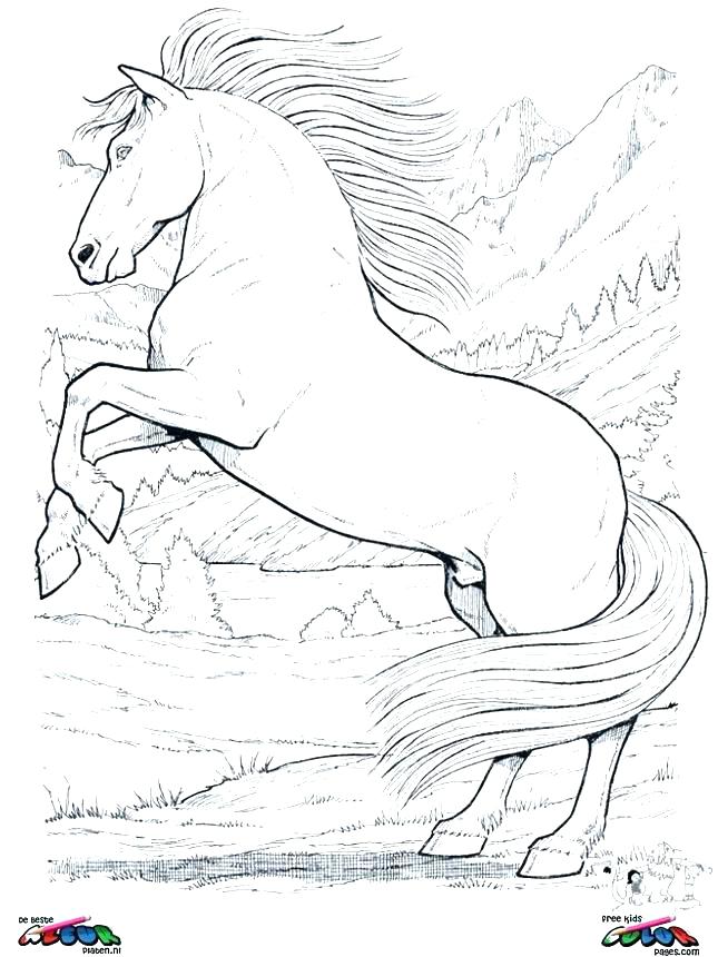 645x860 Horses Coloring Pages Great Horse Coloring Pages Printable Free