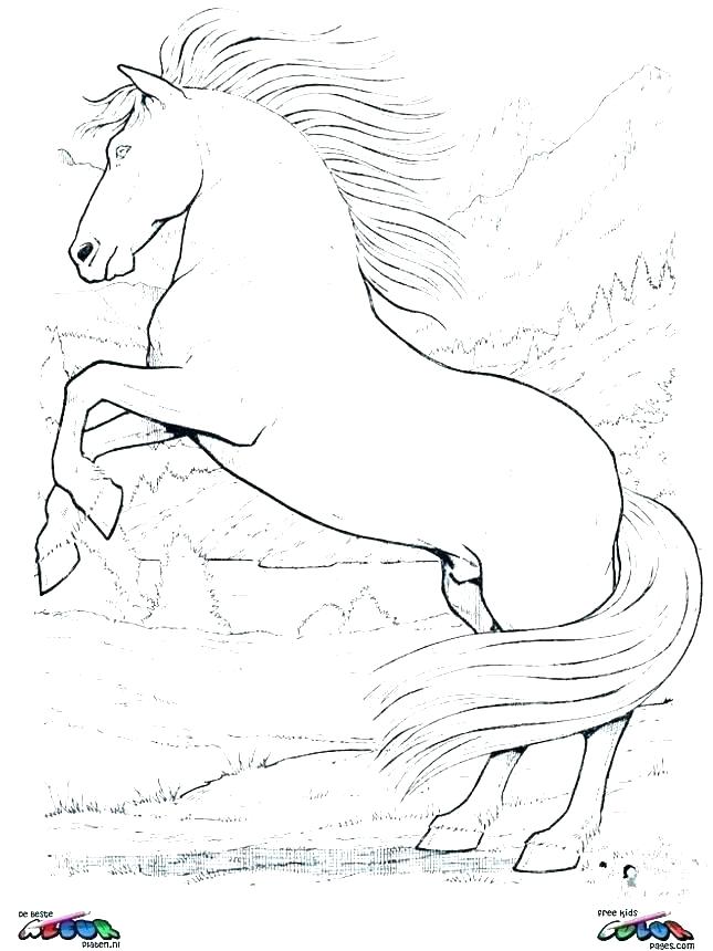 645x860 Mustang Horse Coloring Pages Printable Wild Horse Coloring Pages