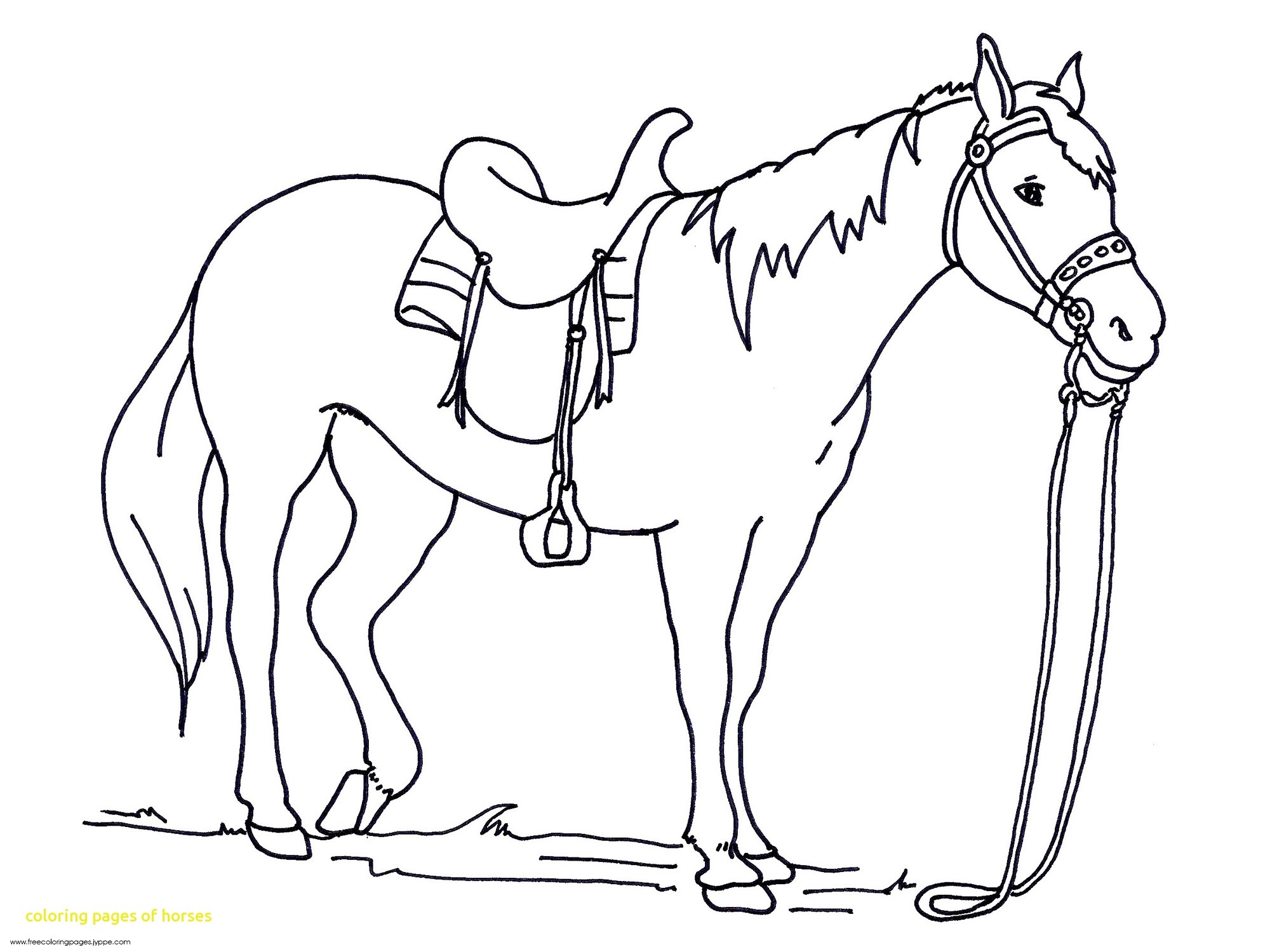2000x1500 New Printable Horse Coloring Pages Free Coloring Pages