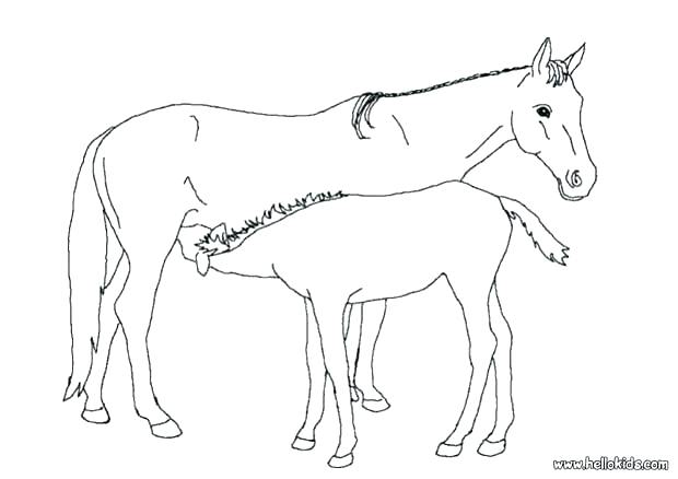 620x438 Realistic Horse Coloring Pages To Print Printable Coloring Pages
