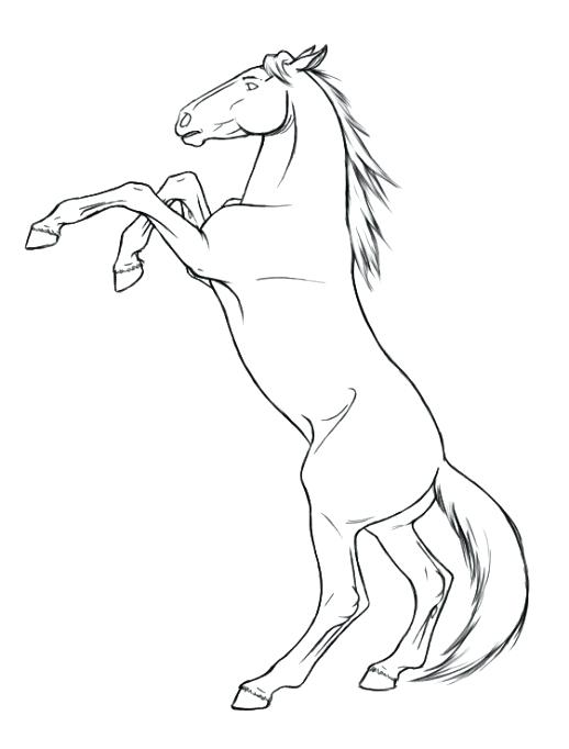 518x682 Coloring Pages Of Realistic Horses Deepart