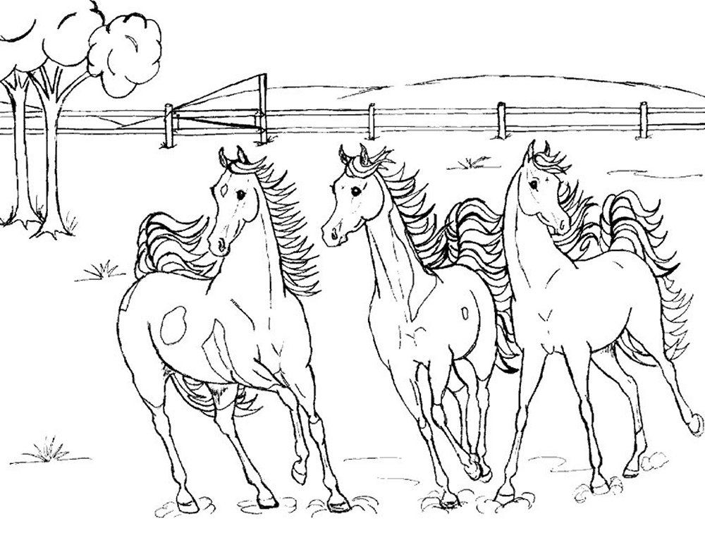 1000x783 Best Cool Realistic Horse Coloring Pages Free Printable