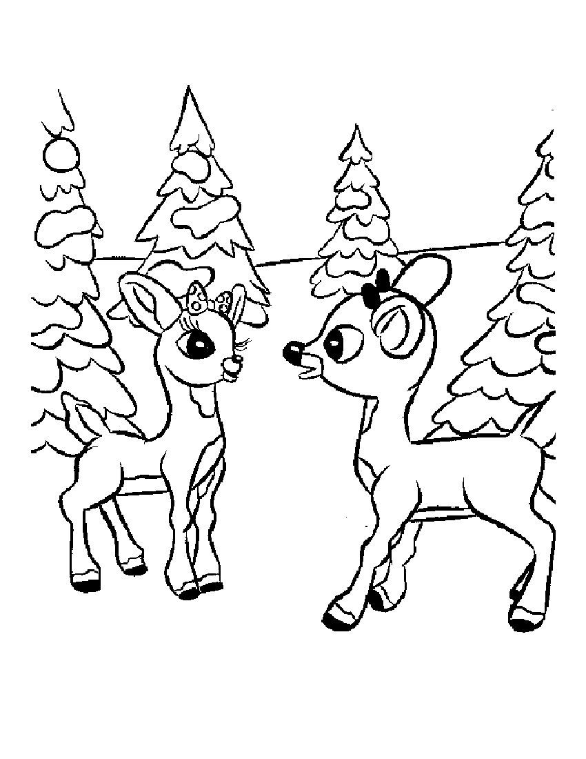 850x1100 Free Printable Reindeer Coloring Pages For Kids