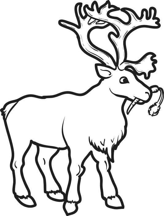 534x700 Reindeer Color Sheet And Coloring Pages Page Col On Holiday