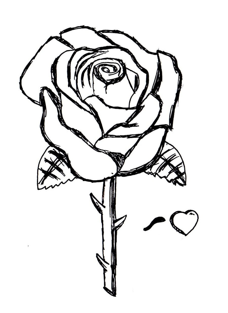 900x1238 Roses Coloring Pages Free Beautiful Rose Pictures