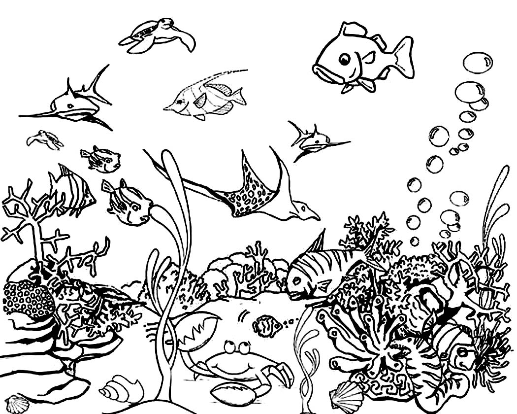 1050x840 Nice Ocean Coloring Page Free Printable Pages