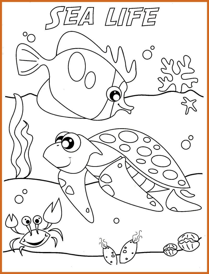 801x1047 Amazing Ocean Life Coloring Pages To And Print For Home Printable