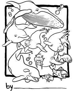 236x295 Ocean Life Coloring Pages To Download And Print For Free Home