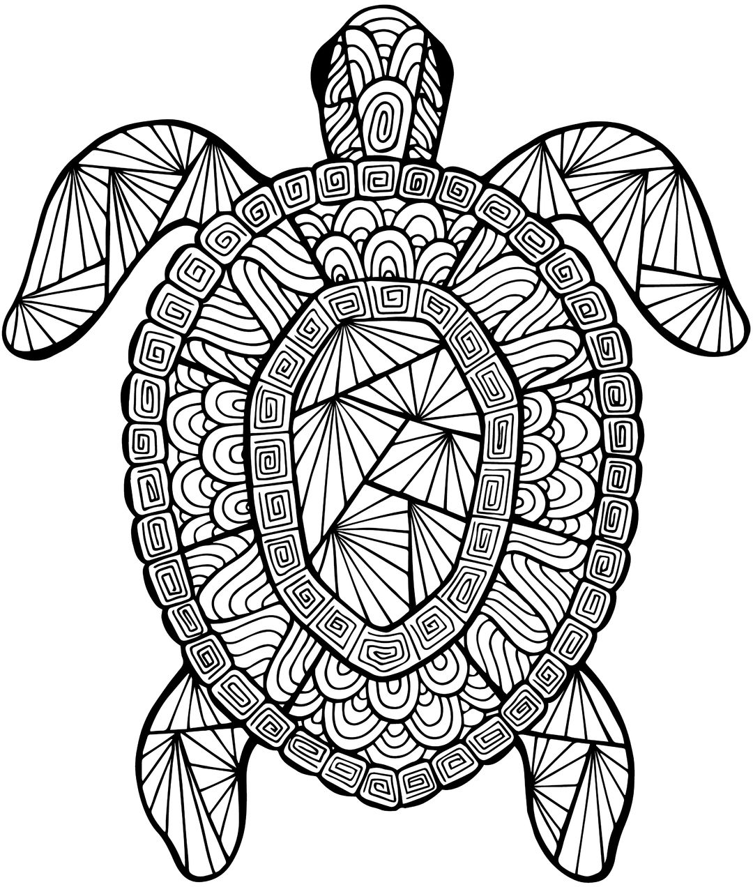 1080x1272 Sea Turtle Coloring Pages