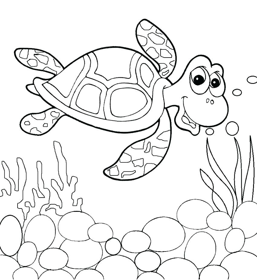 850x924 Cartoon Turtle Coloring Pages Turtle Coloring Page Sea Turtle