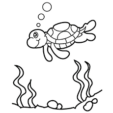 230x230 Top Free Printable Cute Sea Turtle Coloring Pages Online